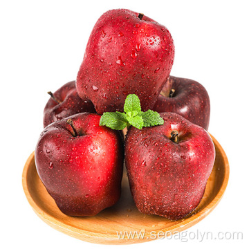 Fresh red tasty juice huaniu apple